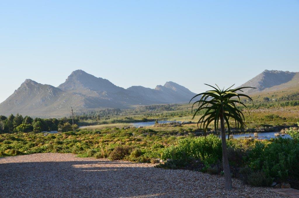Kapensis Guesthouse Pringle Bay Ngoại thất bức ảnh