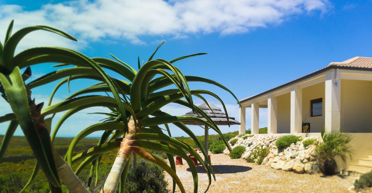 Kapensis Guesthouse Pringle Bay Ngoại thất bức ảnh