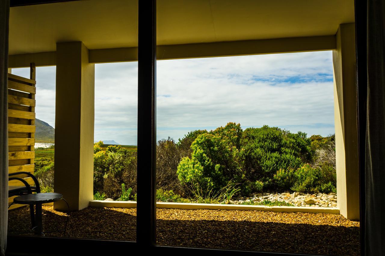 Kapensis Guesthouse Pringle Bay Ngoại thất bức ảnh
